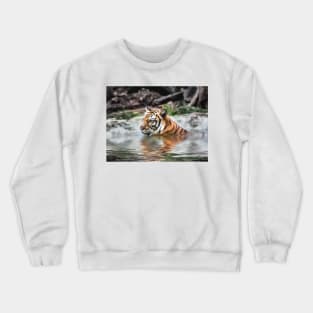 Tiger Swimming Crewneck Sweatshirt